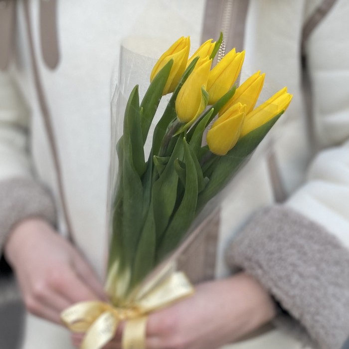 7 желтых тюльпанов в пленке